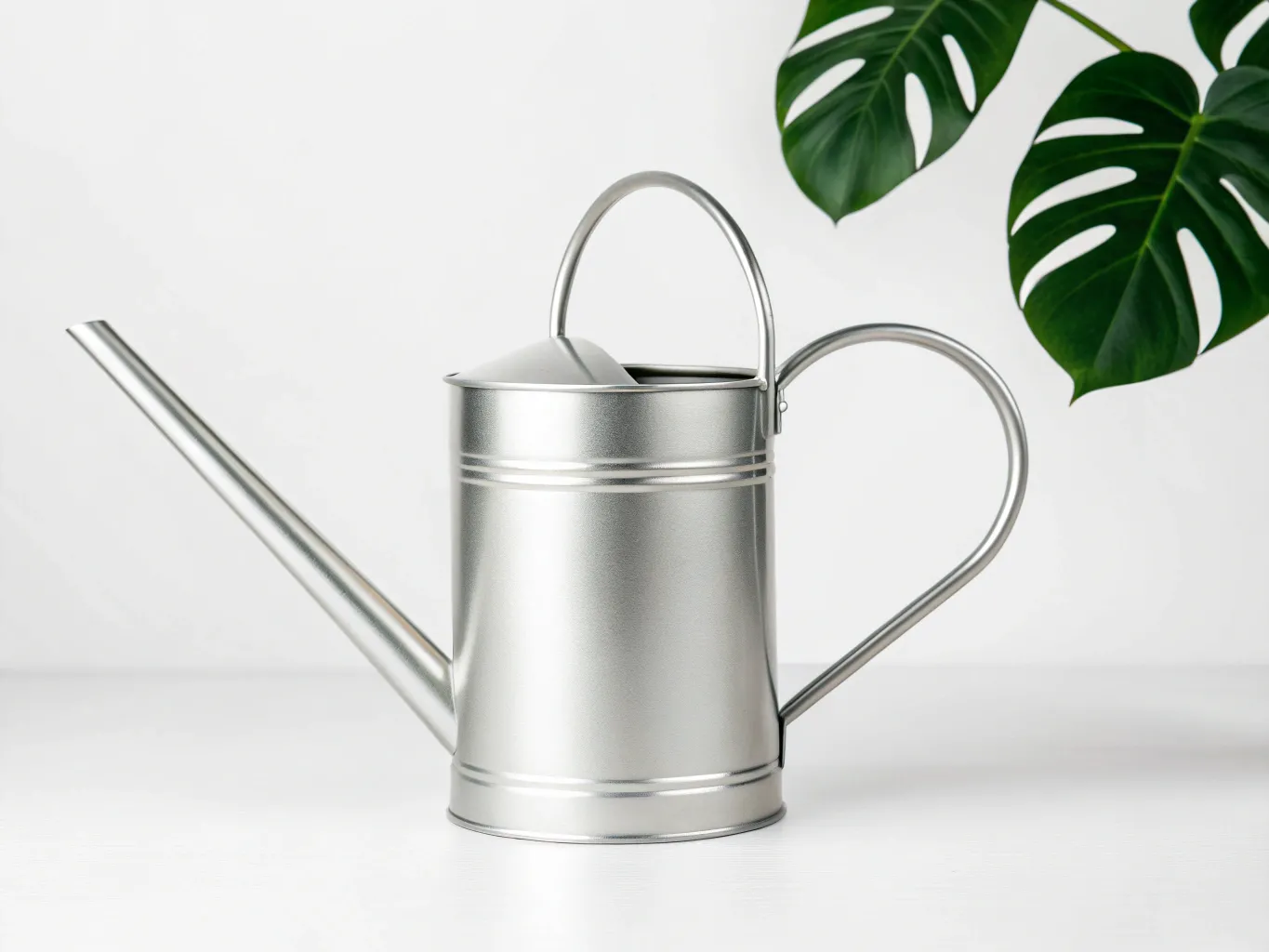 Gießkanne für Zimmerpflanzen